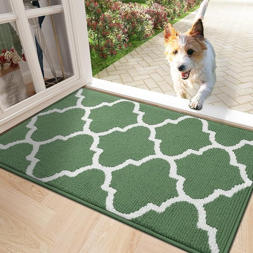 Indoor Door Mat, 36X24, Non-Slip Absorbent Resist Dirt Entrance Mat, Washable